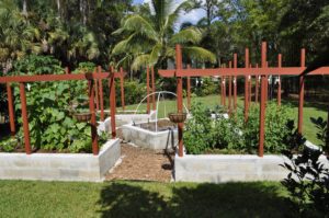 Sustainable Gardening Raised Beds