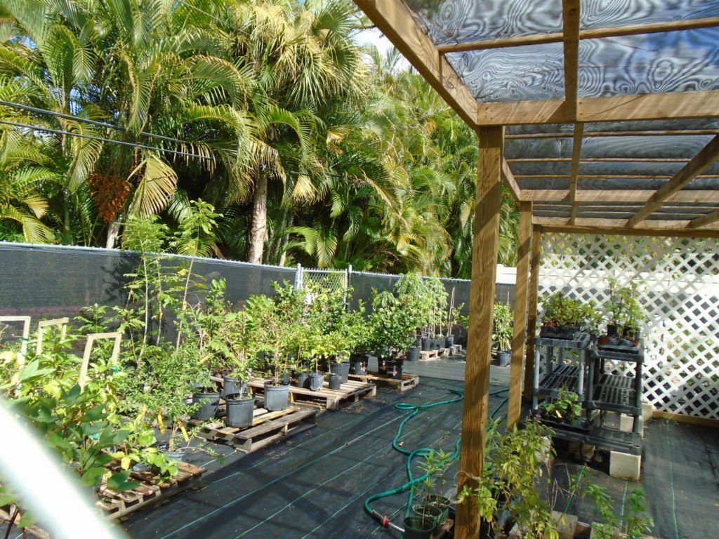 miss-potters-place-and-garden
